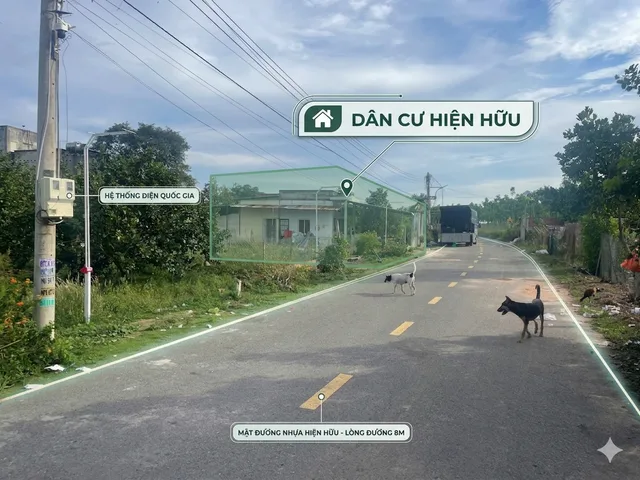 Bất động sản tại Bình Dương - ảnh 1