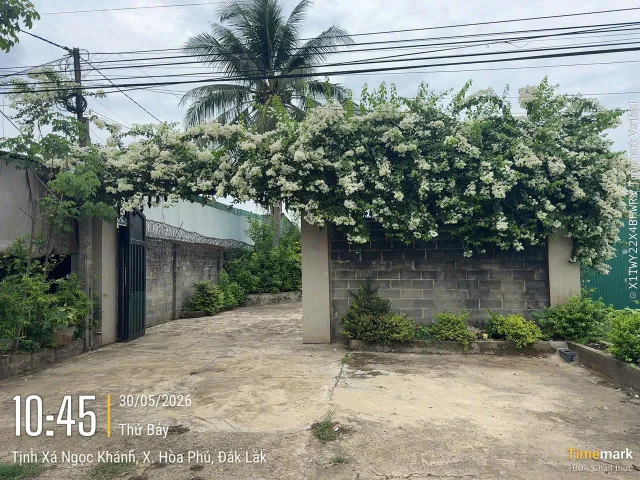 Bất động sản tại Đắk Lắk - ảnh 1