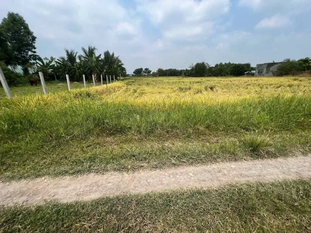 Bất động sản tại Tây Ninh - ảnh 1