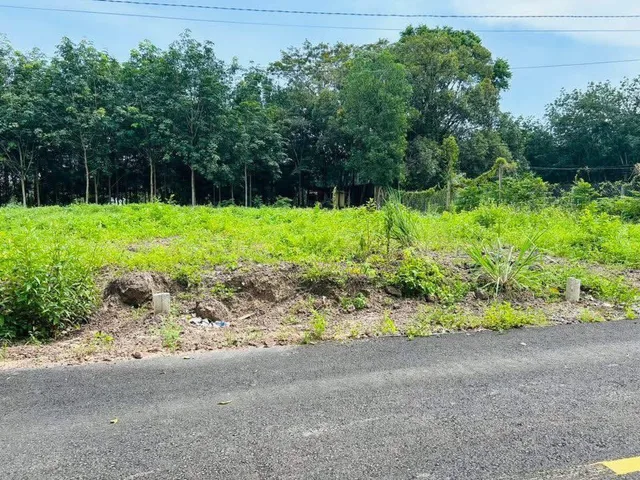 Bất động sản tại Bình Dương - ảnh 1