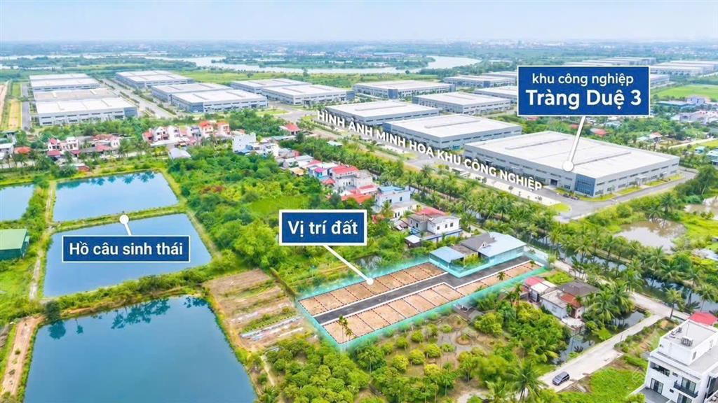 Bất động sản tại Hải Phòng - ảnh 1
