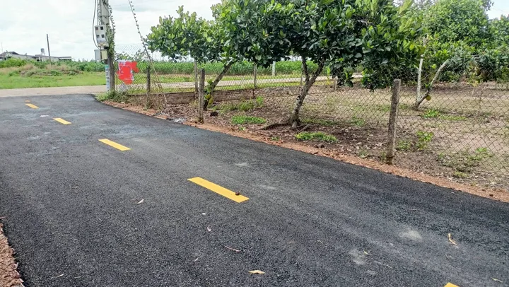 Bất động sản tại Bình Dương - ảnh 1