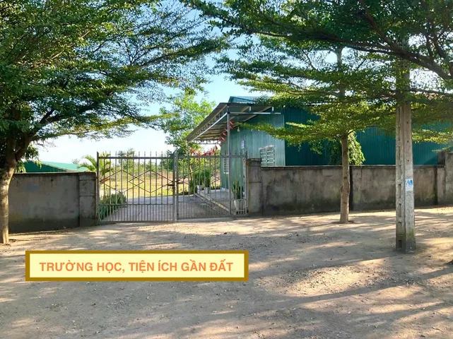 Bất động sản tại Đắk Lắk - ảnh 1