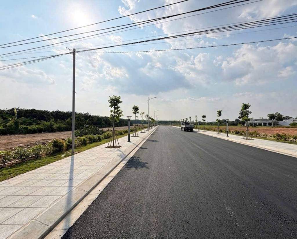 Bất động sản tại Bình Dương - ảnh 1