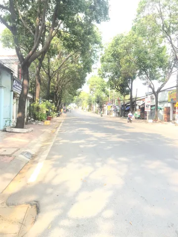 Bất động sản tại Bình Dương - ảnh 1