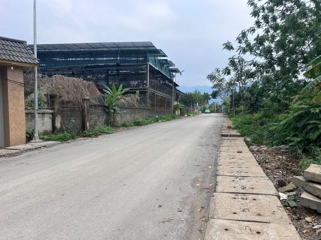 Bất động sản tại Phú Thọ - ảnh 2