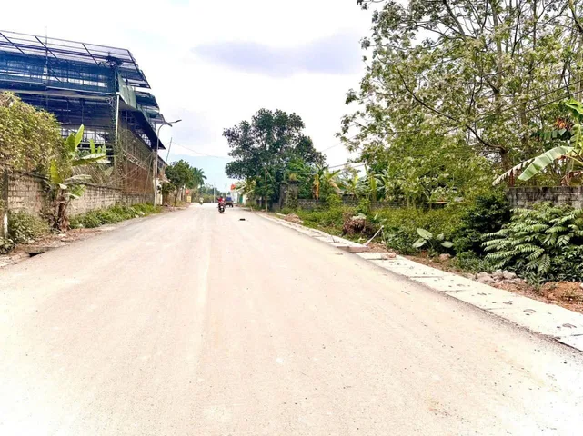 Bất động sản tại Phú Thọ - ảnh 3
