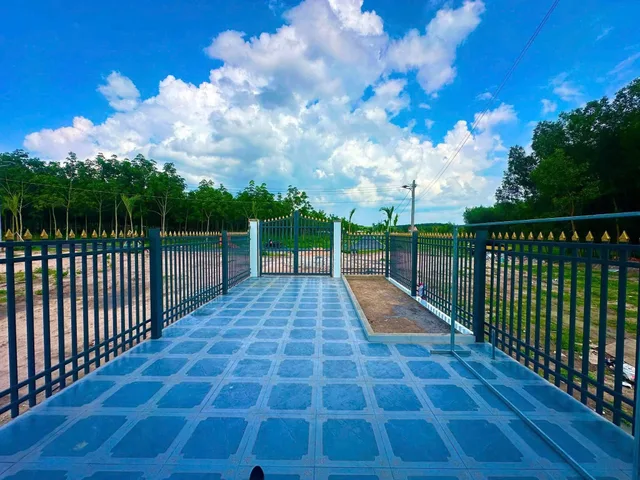 Bất động sản tại Bình Dương - ảnh 1