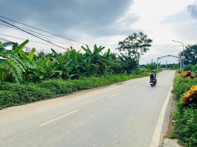 Bất động sản tại Phú Thọ - ảnh 1