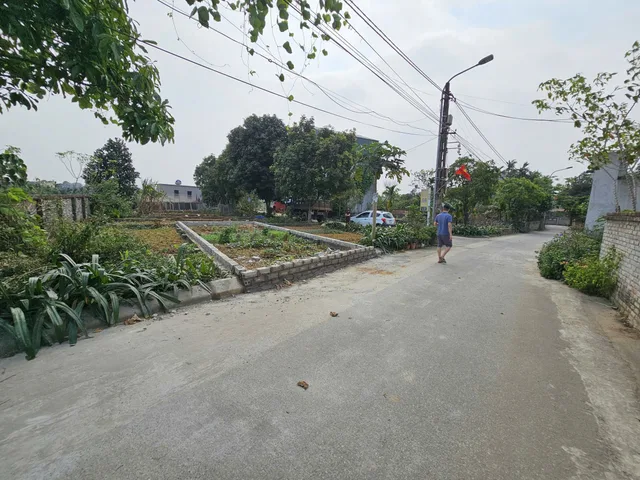 Bất động sản tại Hải Phòng - ảnh 1
