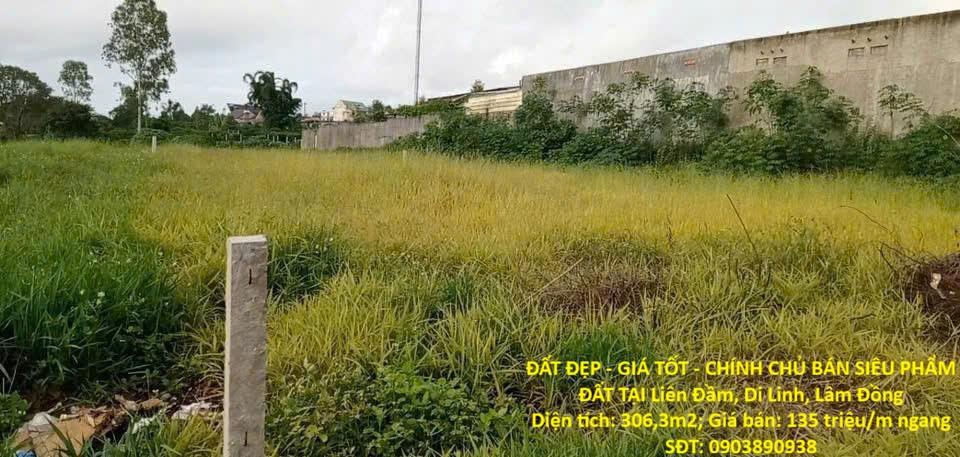 Bất động sản tại Lâm Đồng - ảnh 1