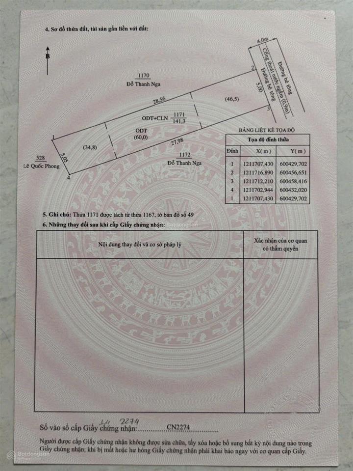 Bất động sản tại Bình Dương - ảnh 1