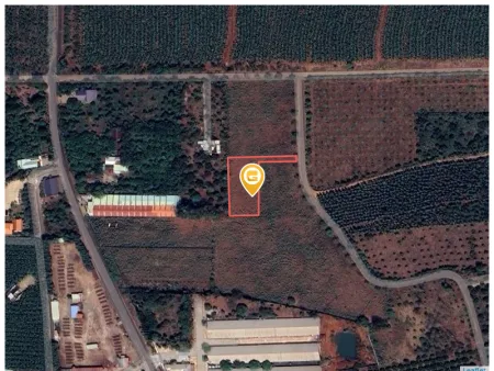 Bất động sản tại Bà Rịa - Vũng Tàu - ảnh 1