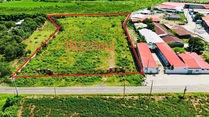 Bất động sản tại Bà Rịa - Vũng Tàu - ảnh 1