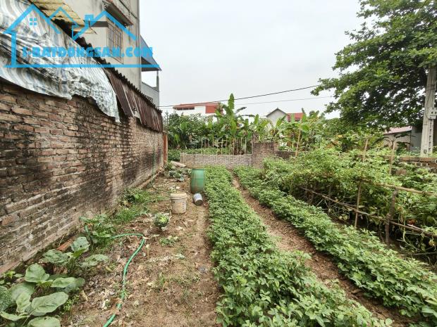 Bất động sản tại Lâm Đồng - ảnh 1