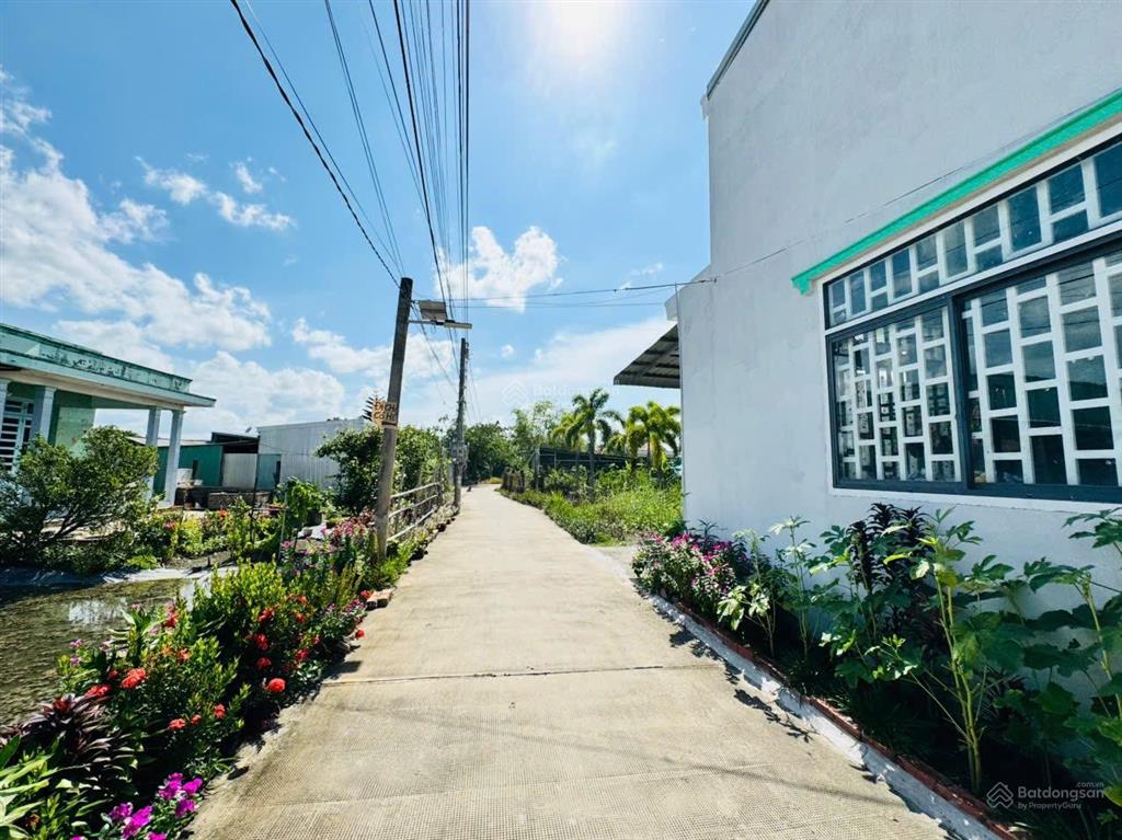 Bất động sản tại Long An - ảnh 1