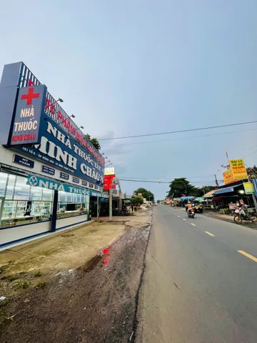 Bất động sản tại Bình Dương - ảnh 1
