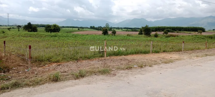 Bất động sản tại Khánh Hòa - ảnh 1