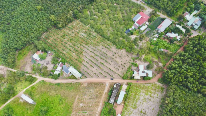 Bất động sản tại Đồng Nai - ảnh 1