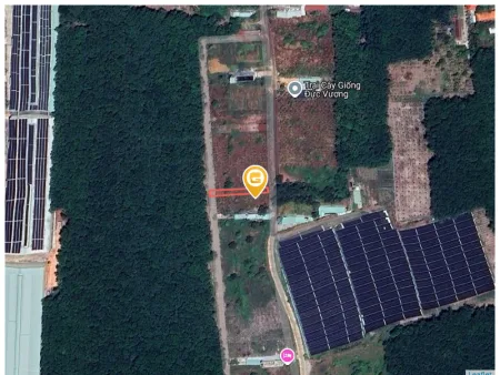 Bất động sản tại Bình Phước - ảnh 1