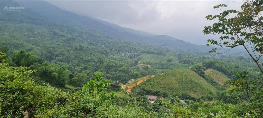 Bất động sản tại Hòa Bình - ảnh 1