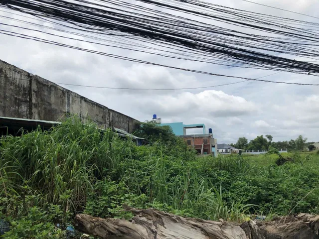 Bất động sản tại Tây Ninh - ảnh 1