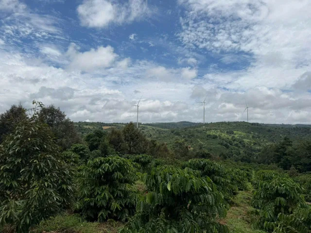 Bất động sản tại Đắk Lắk - ảnh 1