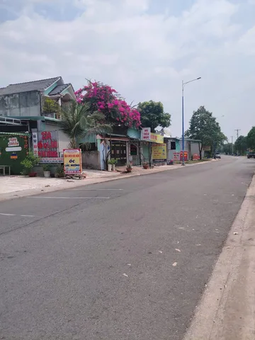 Bất động sản tại Bình Dương - ảnh 1
