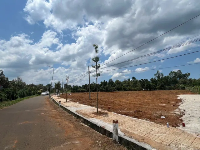 Bất động sản tại Bà Rịa - Vũng Tàu - ảnh 1
