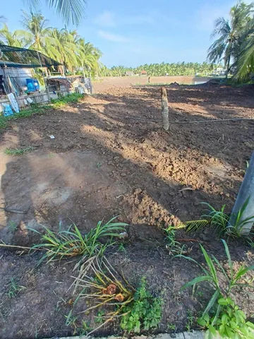 Bất động sản tại Bến Tre - ảnh 1