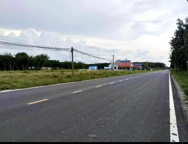 Bất động sản tại Bình Dương - ảnh 1