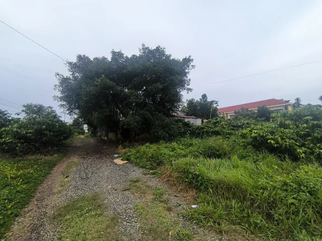 Bất động sản tại Lâm Đồng - ảnh 1