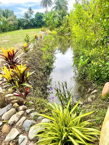 Bất động sản tại Khánh Hòa - ảnh 1