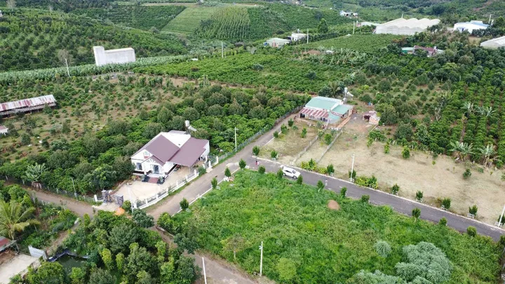 Bất động sản tại Lâm Đồng - ảnh 1