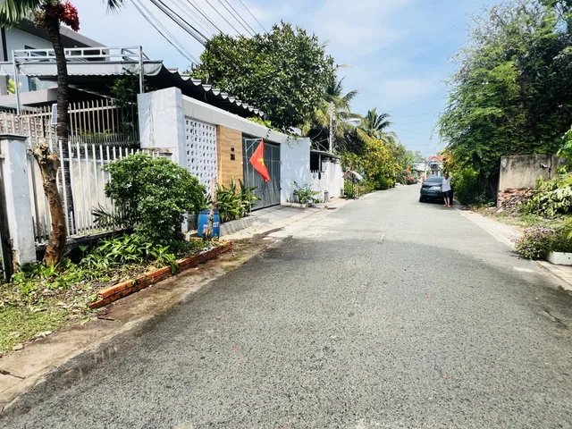 Bất động sản tại Bình Dương - ảnh 1