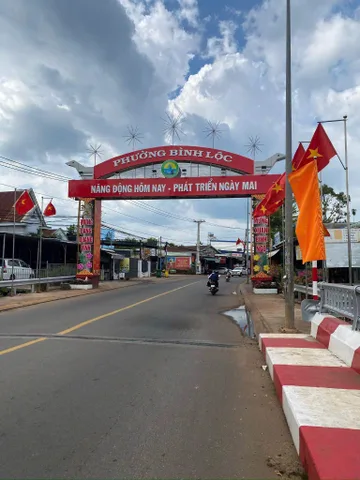 Bất động sản tại Đồng Nai - ảnh 1