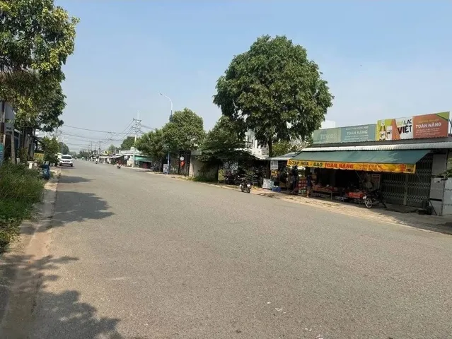 Bất động sản tại Bình Dương - ảnh 1