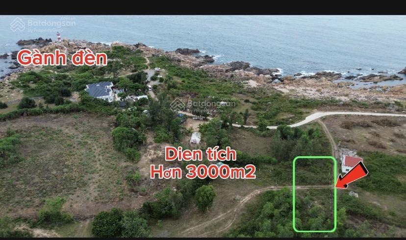 Bất động sản tại Phú Yên - ảnh 1