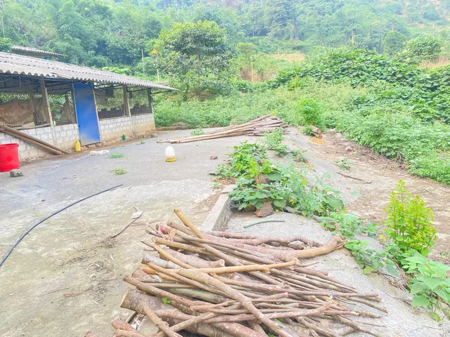 Bất động sản tại Hòa Bình - ảnh 1