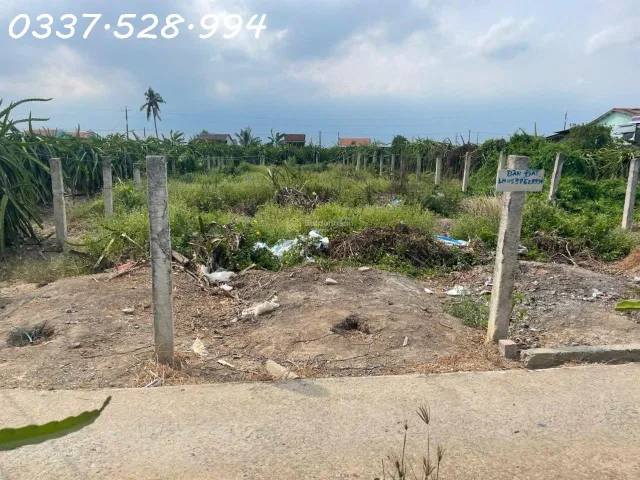 Bất động sản tại Tây Ninh - ảnh 1