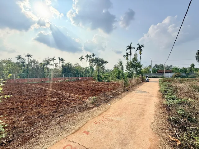 Bất động sản tại Đắk Lắk - ảnh 1