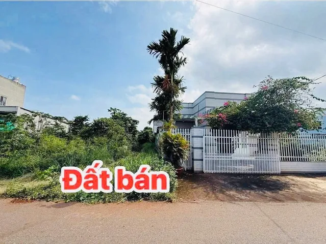 Bất động sản tại Bà Rịa - Vũng Tàu - ảnh 1