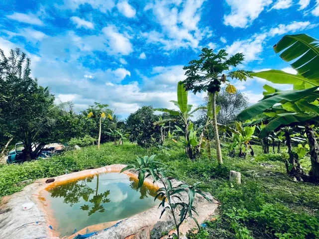 Bất động sản tại Khánh Hòa - ảnh 1