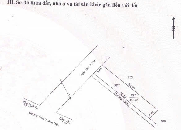 Bất động sản tại Cần Thơ - ảnh 1
