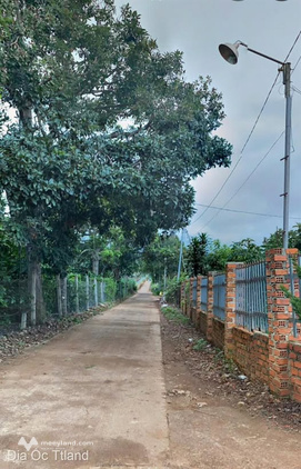 Bất động sản tại Lâm Đồng - ảnh 1
