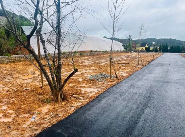 Bất động sản tại Lâm Đồng - ảnh 1