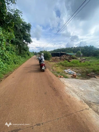 Bất động sản tại Đắk Lắk - ảnh 1