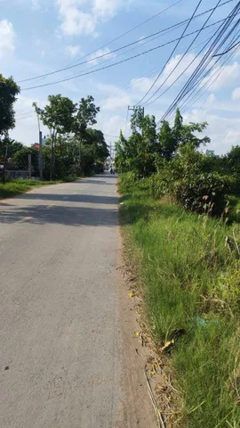 Bất động sản tại Long An - ảnh 1