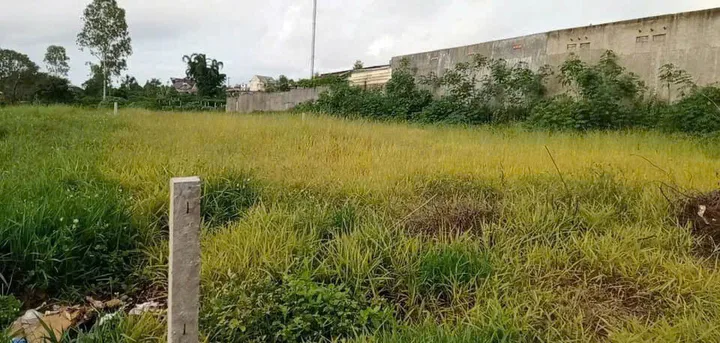 Bất động sản tại Lâm Đồng - ảnh 1