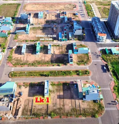 Bất động sản tại Bình Định - ảnh 1